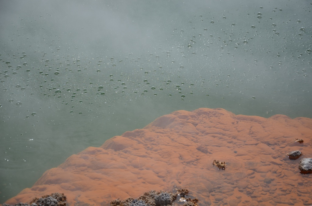 2017-03 New Zealand/Waiotapu/DSC_0368.JPG